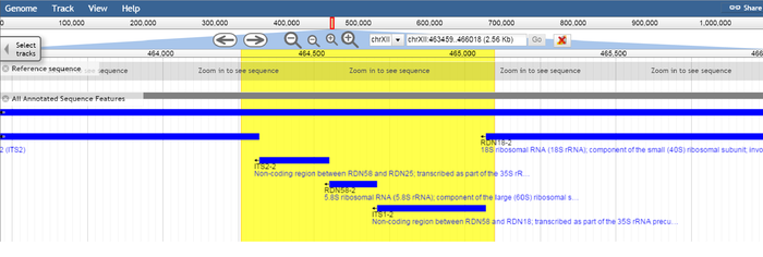Representation of the yeast genome region centered on the RDN58-2 rRNA gene, as shown in the SGD genome browser using the latest version of the S. cerevisae S288C genome (assembly R64). The S. cerevisae genome contains 100-200 repeats of the genes shown. The yellow region represents the target area for the ITS1-ITS4 primer combination in this location.